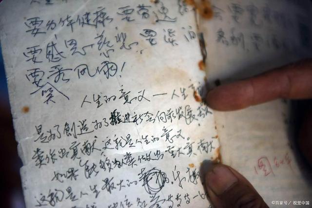 蚕宝宝作文300字左右，蚕宝宝作文300字二年级！