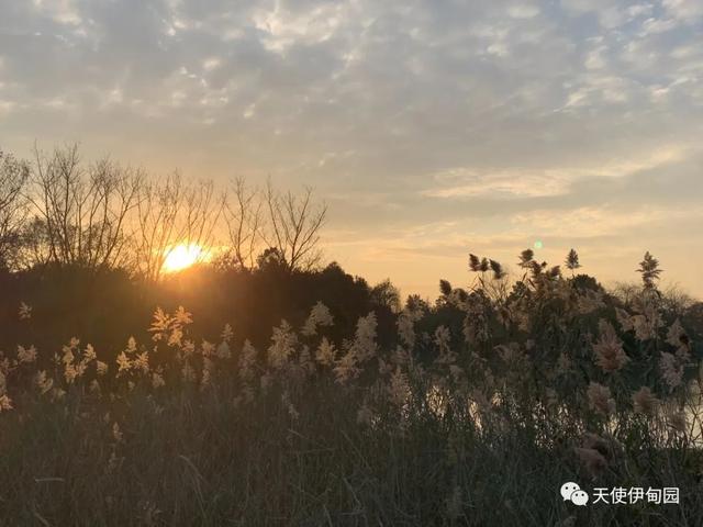 一厘米的阳光全文免费阅读，一厘米的阳光全文免费阅读无弹窗！