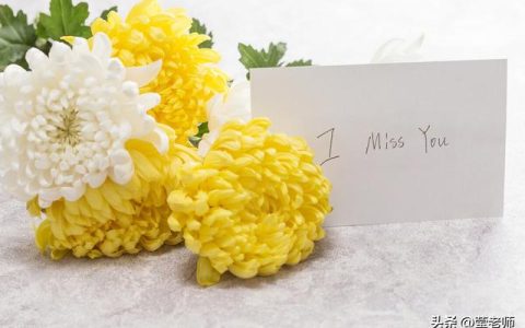 日记初一300字日常生活篇，日记初一300字日常生活怎么写！