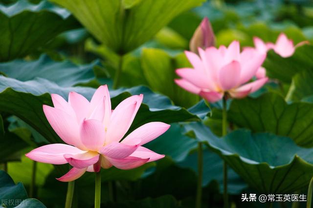 我想对妈妈说作文400字四年级，我想对妈妈说作文400字书信！