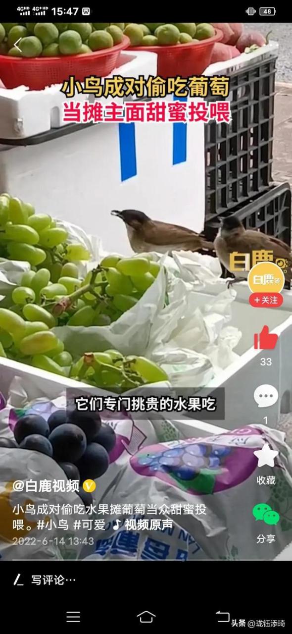 两个鸟的包是什么牌子,两个鸟的包包品牌!