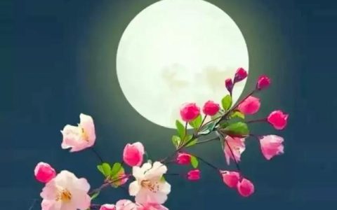 蓬荜生辉造句怎么造，蓬荜生辉造句造句！