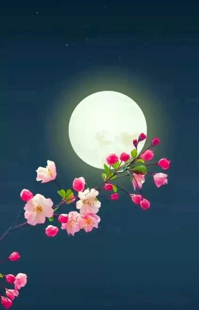 蓬荜生辉造句怎么造，蓬荜生辉造句造句！