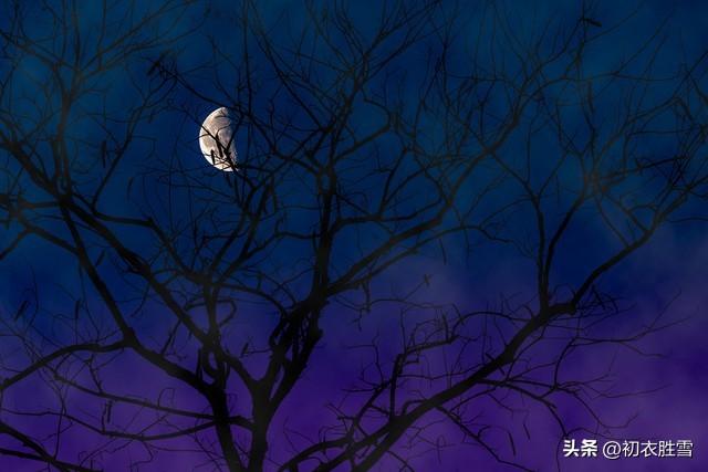 白居易诗歌风格，白居易诗歌风格特点！