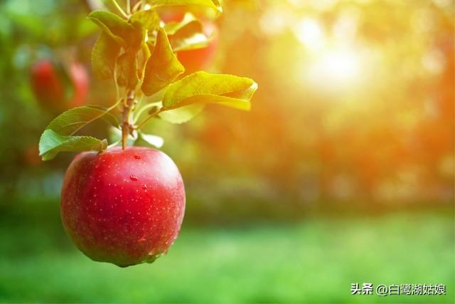 妈妈我想对你说300字作文书信格式，妈妈我想对你说300字作文初一！