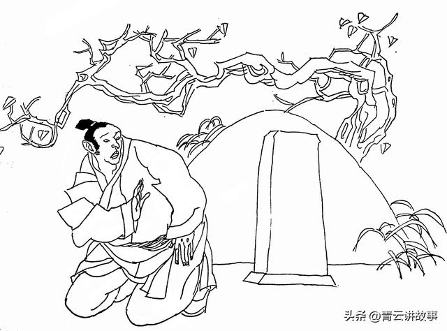 姐姐坐什么车给弟弟，姐姐是什么车进来的！