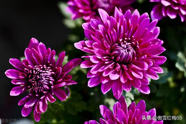 梦想在远方歌词李泰良，梦想在远方歌词是什么歌！