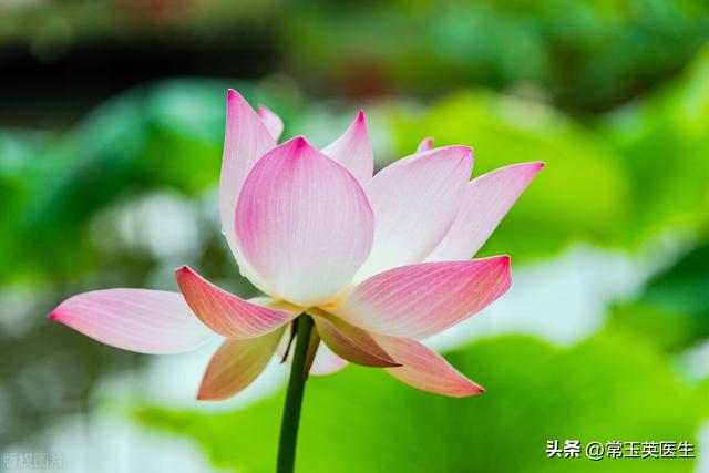我想对妈妈说作文400字四年级，我想对妈妈说作文400字书信！