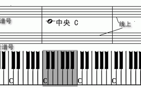 飞扬的青春，飞扬的青春作文800字！