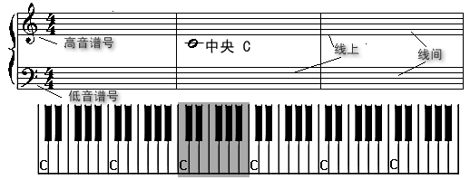 飞扬的青春，飞扬的青春作文800字！