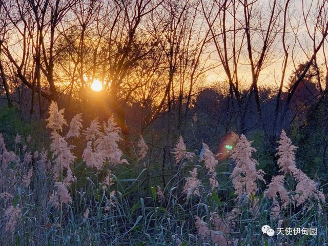 一厘米的阳光全文免费阅读，一厘米的阳光全文免费阅读无弹窗！