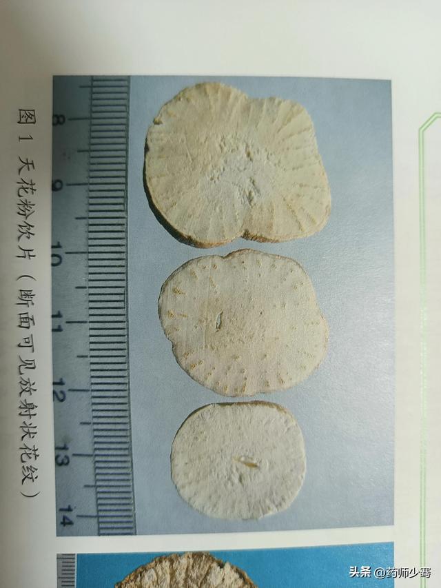 学年鉴定表个人总结，学年鉴定表个人总结大三！