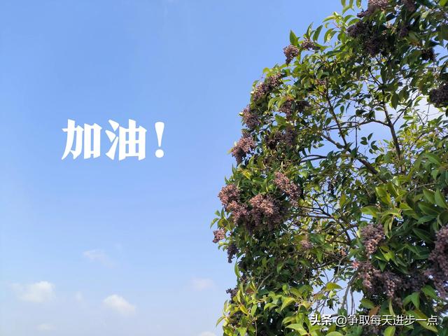 销售助理工作内容描述，销售助理工作内容描述怎么写！