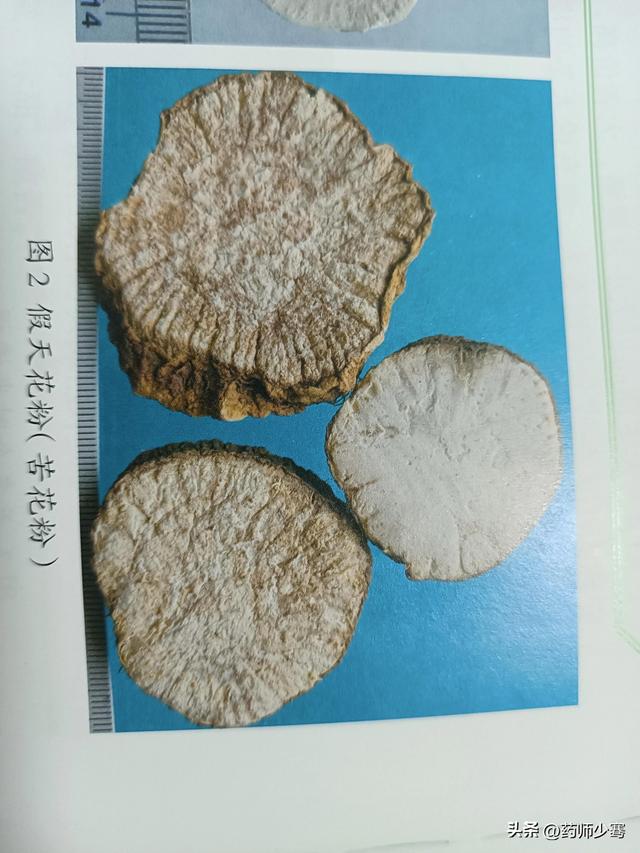 学年鉴定表个人总结，学年鉴定表个人总结大三！