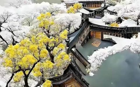 尊严作文800字，尊严作文800字议论文