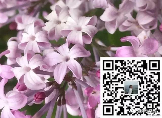 足球作文开头结尾优美段落，我爱踢足球作文300字