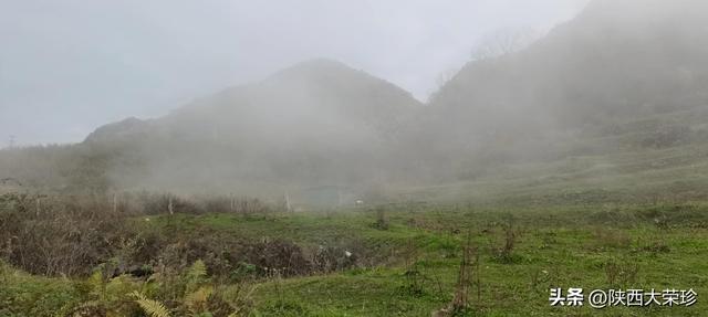 超市管理规章制度范本，超市的规章制度与管理制度