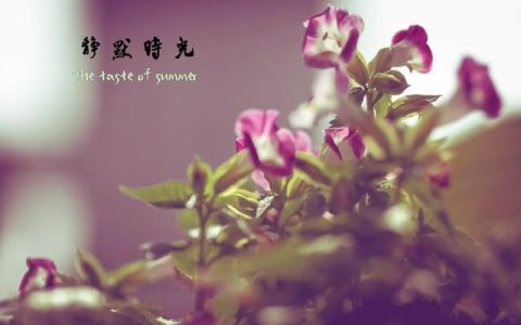 等待的诗句_关于爱情，情人不能相见但思念的句子