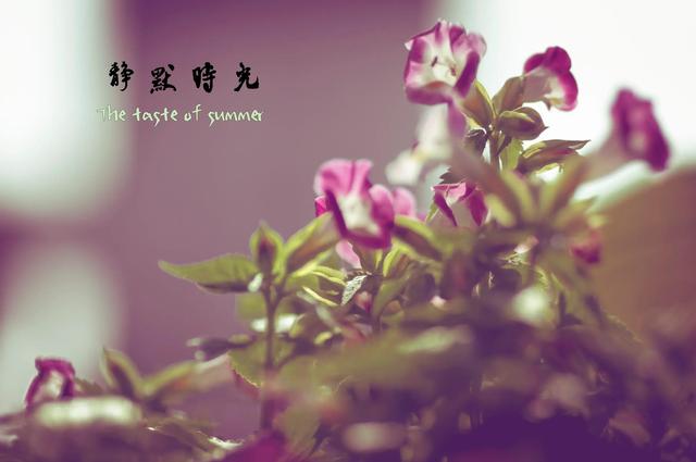 等待的诗句_关于爱情，情人不能相见但思念的句子
