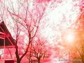 窗外有蓝天作文600字，窗外有蓝天800字作文