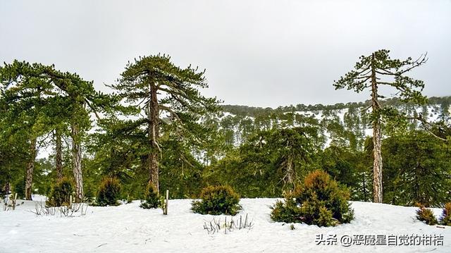 冬天作文100字左右三年级，冬天作文100字左右怎么写