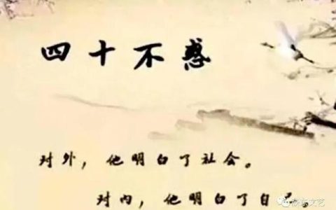 春节英语作文80词左右带翻译，春节英语作文80词左右带翻译初一