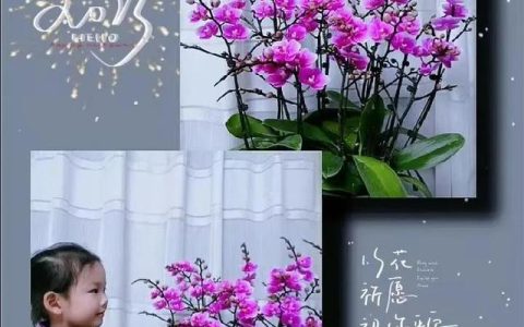 中职教师资格证报考条件要求，中职教师资格证报考条件要求本科吗