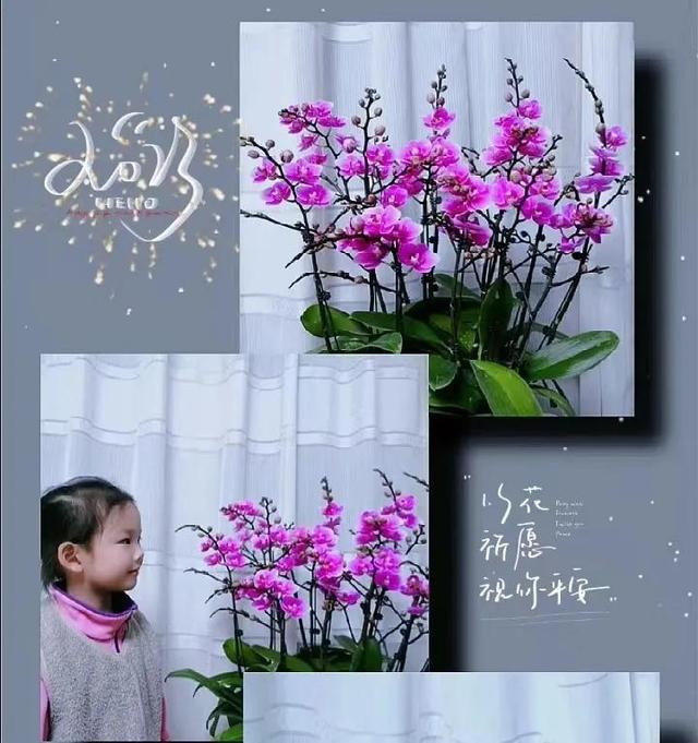 中职教师资格证报考条件要求，中职教师资格证报考条件要求本科吗