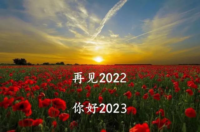 元旦作文300字左右，2023元旦作文300字左右