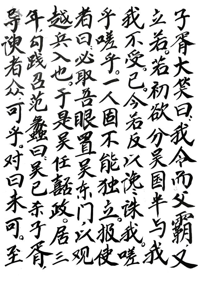 史记观后感300字作文怎么写，史记观后感300字作文大全