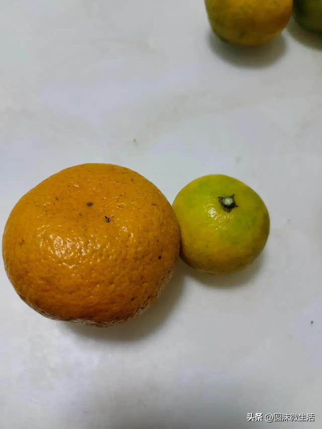 质量保证承诺书，质量保证承诺书简单一点