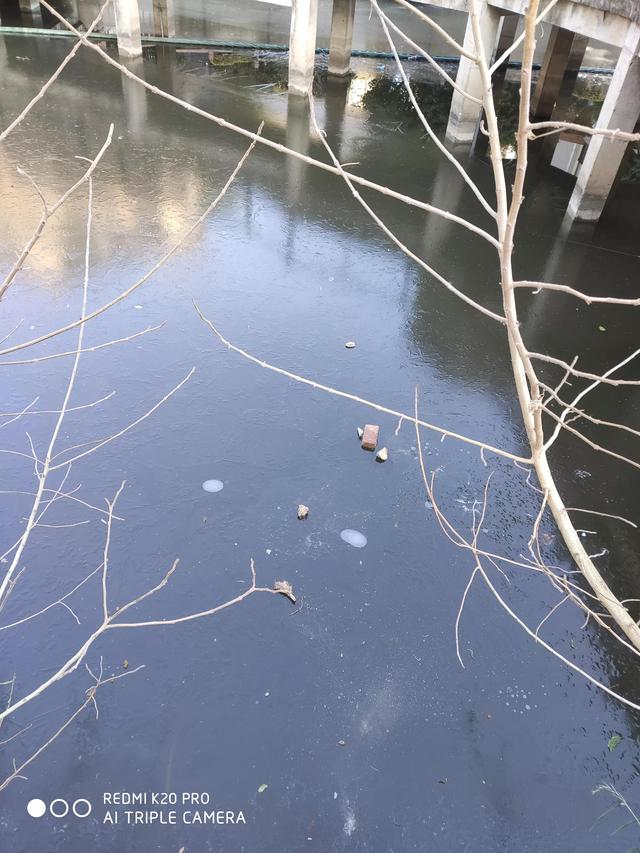 不该错过的风景作文600字，不该错过的风景作文600字写景