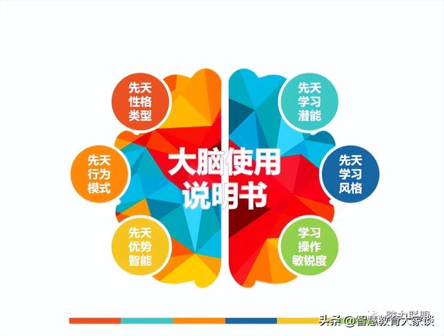 个别教育计划，个别教育计划中班