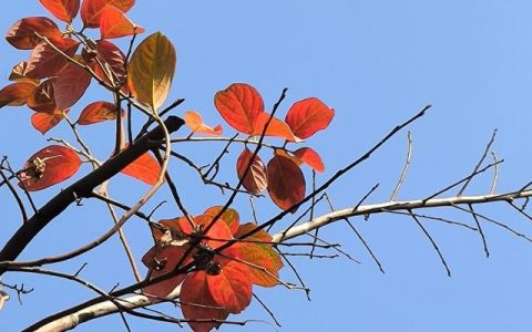 这是什么的一天作文600字，我最什么的一天作文600字