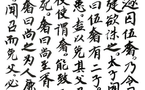 史记观后感300字作文怎么写，史记观后感300字作文大全