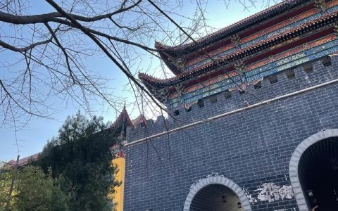 父母的爱500字作文，父母的爱500字作文优秀