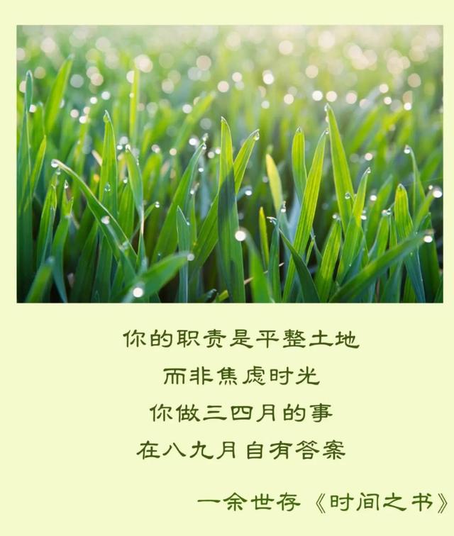 初二昆虫记每章概括50字，昆虫记读后感400字左右