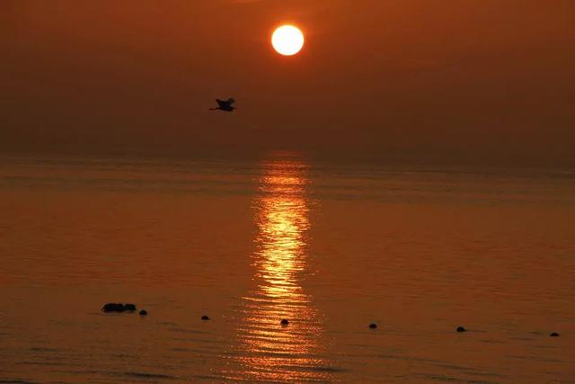 厦门海滩，海上日出