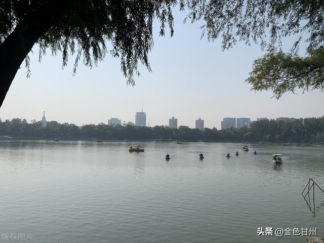 狂歌五柳前全诗，狂歌五柳前全诗注音