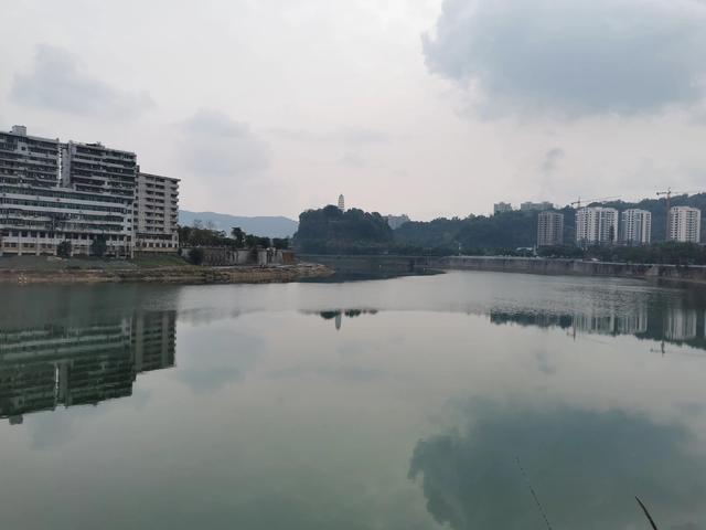 懦的组词是什么，弱的组词是什么