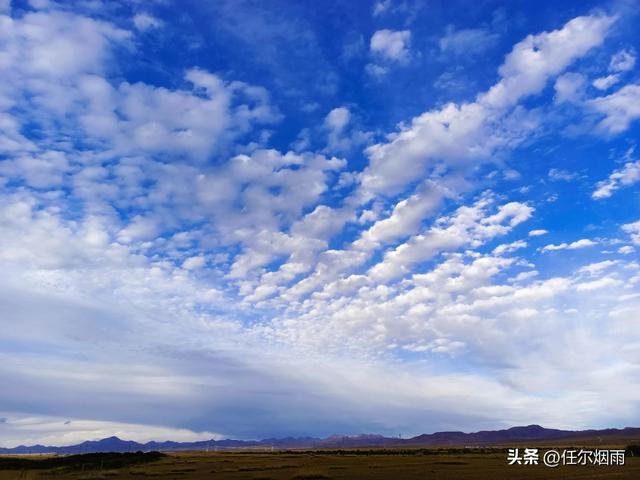 让我们看云去歌词，让我们看云去歌词意思
