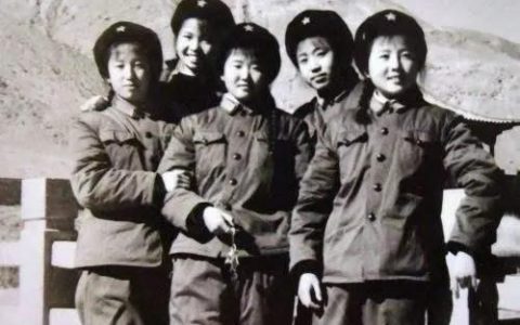 狼与兄弟，狼与兄弟全文免费阅读