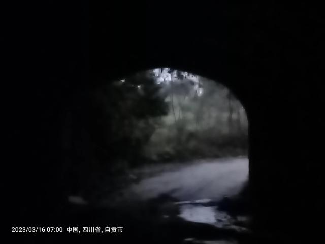 廉价的眼泪是什么意思，廉价的眼泪的经典语录