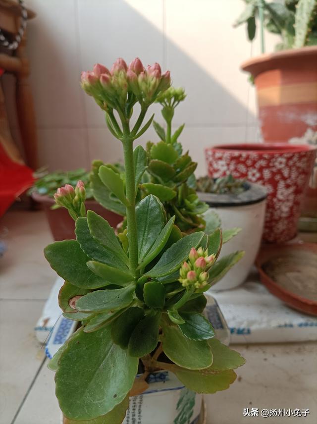 散散心情是什么意思，散散心的句子说说短句