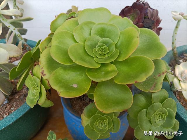 散散心情是什么意思，散散心的句子说说短句
