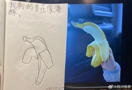 小女孩日记，小女孩的回忆？