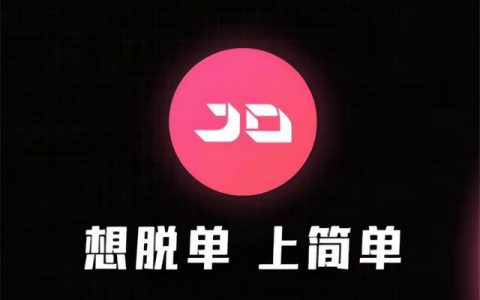 交友会，社交平台？
