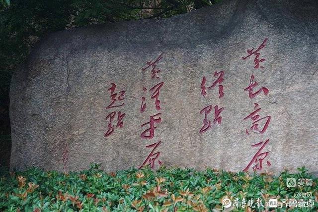 黄河东流去，黄河之滨？