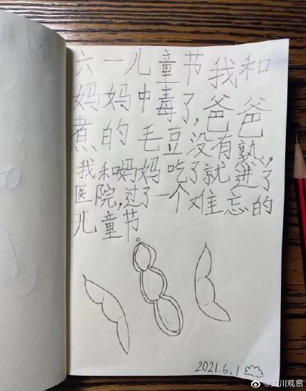 小女孩日记，小女孩的回忆？