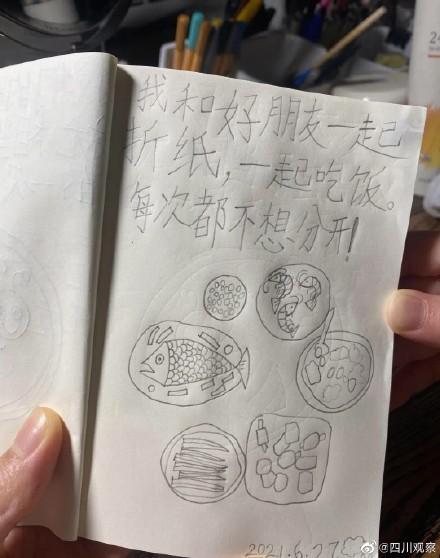 小女孩日记，小女孩的回忆？